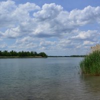 Местные виды. :: Виктор 