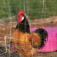 -- :: vladimir -- :: vladimir