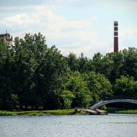 Головинские пруды :: Анатолий Колосов