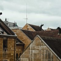Крыши нас слушают... :: Elena Ророva
