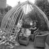 Оригинальная беседка :: Дмитрий Никитин