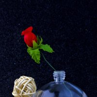 Одинокая Роза :: Lyubov Busova