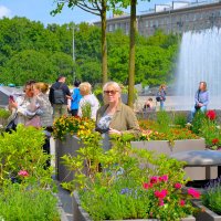 В цветнике...С Днём России,Друзья! :: Sergey Gordoff