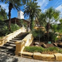 Сочинский дендропарк :: Евгений Седов