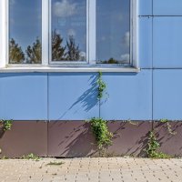 Природный интерьер :: Валерий Иванович