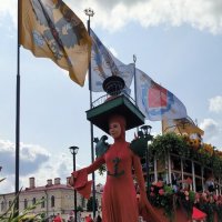 Фестиваль цветов. :: Ольга 