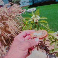 13  ОПЕН (117) :: OPEN WAYS ALL