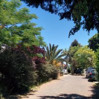 " :: Светлана Хращевская