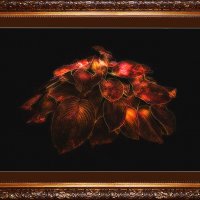 Ночь с фотошопом. :: Николай Феофанов