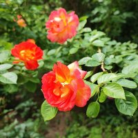 ,,, :: Сергей Тимоновский ,,, :: Сергей Тимоновский