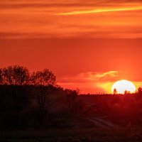 Продолжение :: Sergei Vikulov