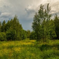 После дождя :: Андрей Дворников