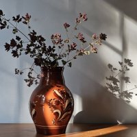 Причуды солнца. :: Галина Левина