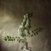 *** :: Oleg Rastorguev