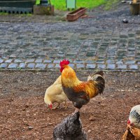 *** :: Witalij Loewin *** :: Witalij Loewin