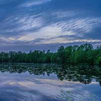Летний вечер :: Наталья Rosenwasser