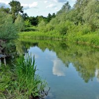 На родниковой речке Свинцовке. :: Восковых Анна Васильевна 