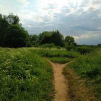 День России. Для меня Россия такая :: Андрей Лукьянов