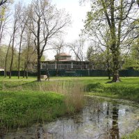 Стрельна. Орловский парк :: Наталья Герасимова