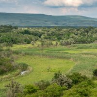 Краснодарский край :: Игорь Сикорский