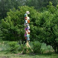 Весна в Ботаническом... :: Наташа *****