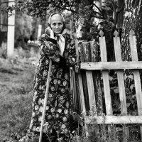 Фая осталась одна :: СЮ 