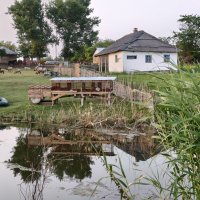 У пруда :: Валерий Ткаченко