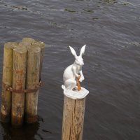 Заяц у Петропавловской крепости :: Anna-Sabina Anna-Sabina