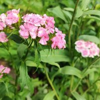 ,,,, :: Сергей Тимоновский