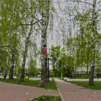 Аллея "Двенадцать невест". :: ИРЭН@ .