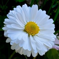 ... :: Станислав Мутовин