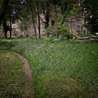 Старый город 50. :: Андрей. 