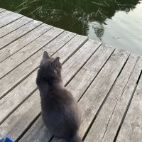 На посту :: Ольга Довженко