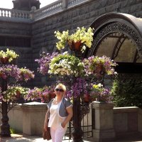 Среди цветочной красоты! :: Нина Андронова