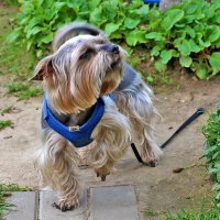 Что-то там интересное! :: Светлана 