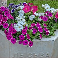 Июнь... :: Aquarius - Сергей Июнь... :: Aquarius - Сергей