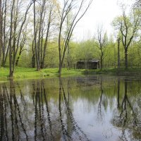 Стрельна. Орловский парк :: Наталья Герасимова