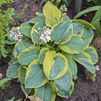 В дождливый день :: Валерий Иванович