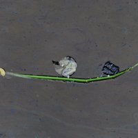 ПРОГУЛКА ПО МЕКОНГУ :: Юрий Вовк