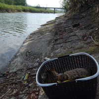 Набережная река Чита :: Екатерина Панова