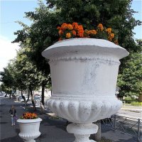 Городские цветы :: Alisia La DEMA