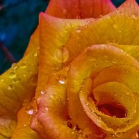 После грозы... :: Леонид Абросимов