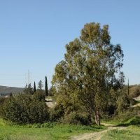 Пейзаж :: Oleg4618 Шутченко Пейзаж :: Oleg4618 Шутченко