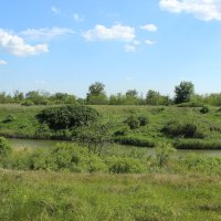 В степи. :: Виктор 