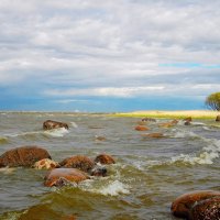 Морская стихия. :: Лия ☼