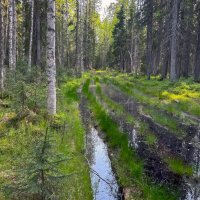 Пути дороги :: Дмитрий Иванов