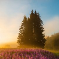 Душа видит эмоциями :: Фёдор. Лашков