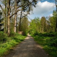 Апрельское... :: Николай Гирш Апрельское... :: Николай Гирш