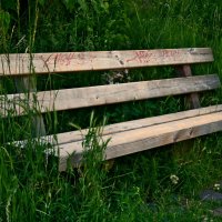 Летние этюды 34 :: Алексей Кузнецов