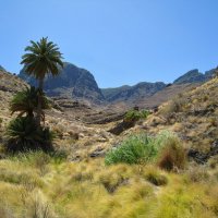 Кусочек острова Гран-Канария. :: unix (Илья Утропов)